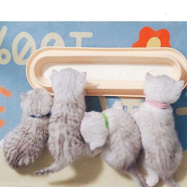 cat bowls & feeders brand bowl for multiple kittens plastic material oblique mouth food non-slip pet
cat bowls & feeders brand bowl for multiple kittens plastic material oblique mouth food non-slip pet