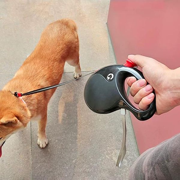dog collars & leashes retractable leash 5m reflective adjustable pet puppy auto traction rope walking for small dogs cats
dog collars & leashes retractable leash 5m reflective adjustable pet puppy auto traction rope walking for small dogs cats
