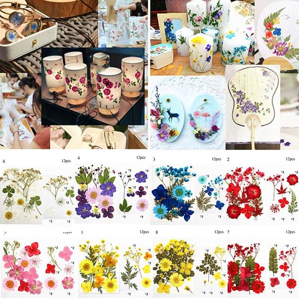 craft tools pressed small real dried flower dry plants for diy candle epoxy resin pendant necklace jewelry making accessories supplies
craft tools pressed small real dried flower dry plants for diy candle epoxy resin pendant necklace jewelry making accessories supplies
