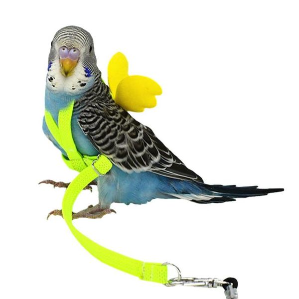 other bird supplies anti-bite parrot flying training rope pet leash kits ultralight harness soft portable outdoor playthings
other bird supplies anti-bite parrot flying training rope pet leash kits ultralight harness soft portable outdoor playthings