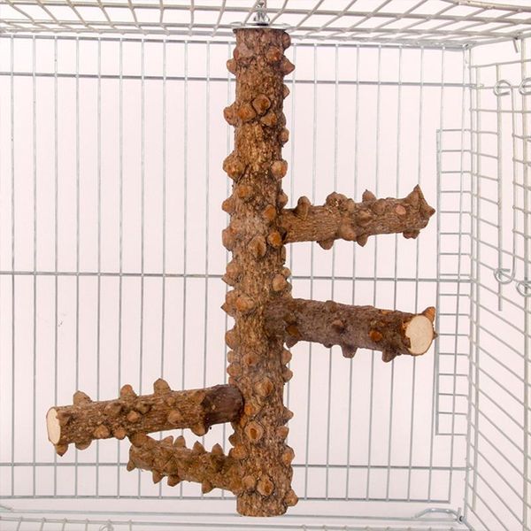 other bird supplies solid pet parrot hanging swing wooden rest play perches toys rotating log stairs with leather stand bar cage accessories
other bird supplies solid pet parrot hanging swing wooden rest play perches toys rotating log stairs with leather stand bar cage accessories