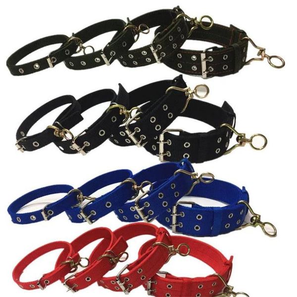 dog car seat covers collar carriers leash for large dogs medium cats training products
dog car seat covers collar carriers leash for large dogs medium cats training products