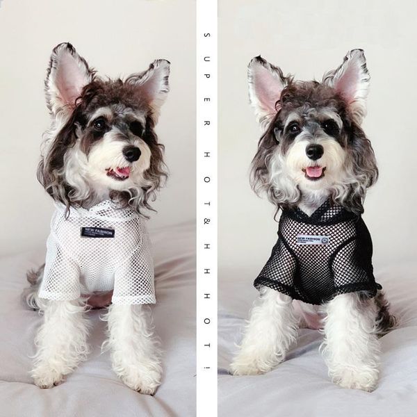 pet summer grid cat clothes fishnet fashion breathable ultra-thin for cats and small dogs teddy costumes
pet summer grid cat clothes fishnet fashion breathable ultra-thin for cats and small dogs teddy costumes
