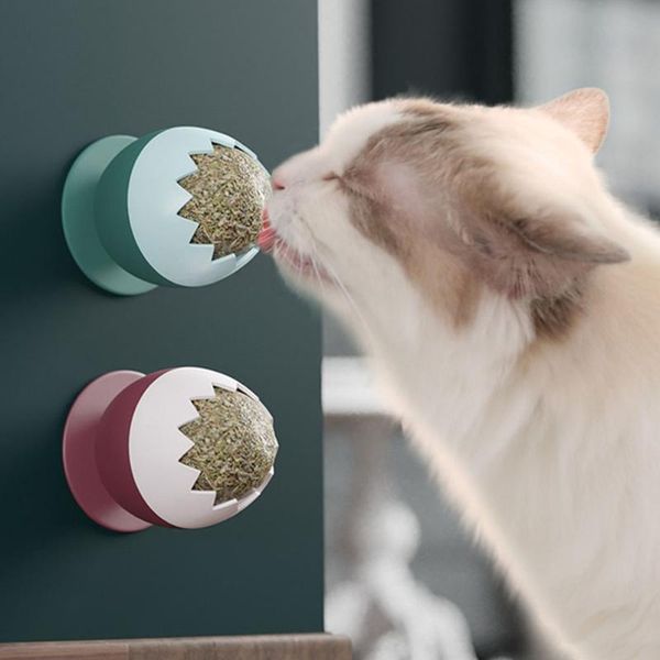 cat toys 2 colors natural healthy catnip for kitten edible treating cleaning teeth pet supplies toy products
cat toys 2 colors natural healthy catnip for kitten edible treating cleaning teeth pet supplies toy products