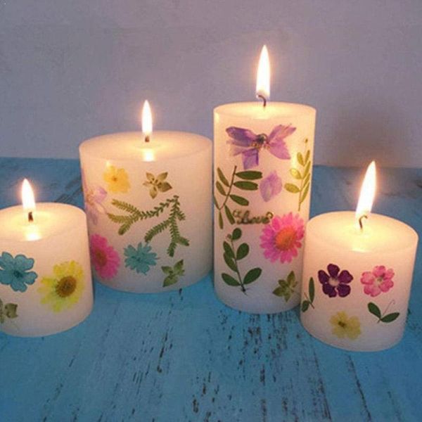 real pressed flower leaf dried daisy resin epoxy nail dry art decals making mold beauty fillings jewelry p9f4 decorative flowers & wreaths
real pressed flower leaf dried daisy resin epoxy nail dry art decals making mold beauty fillings jewelry p9f4 decorative flowers & wreaths