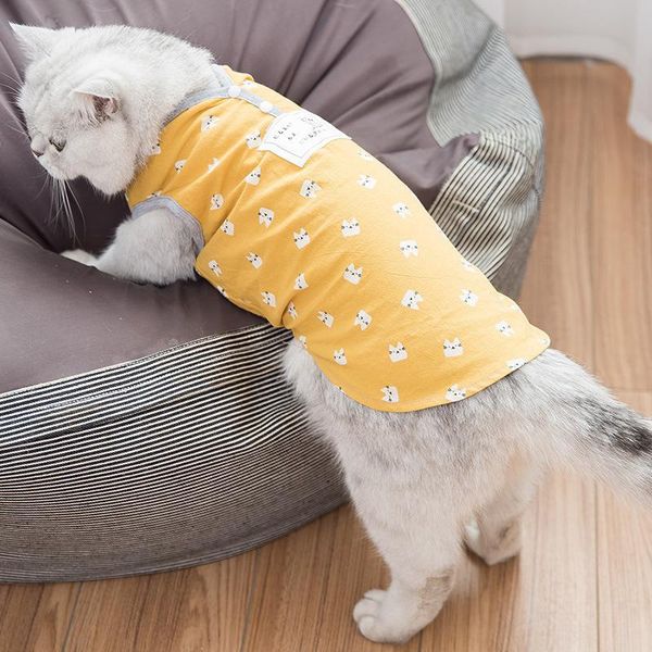 dog apparel cute kitty costume for pet cat summer shirt vest pajamas clothes yorkie small puppy jacket coat clothing
dog apparel cute kitty costume for pet cat summer shirt vest pajamas clothes yorkie small puppy jacket coat clothing