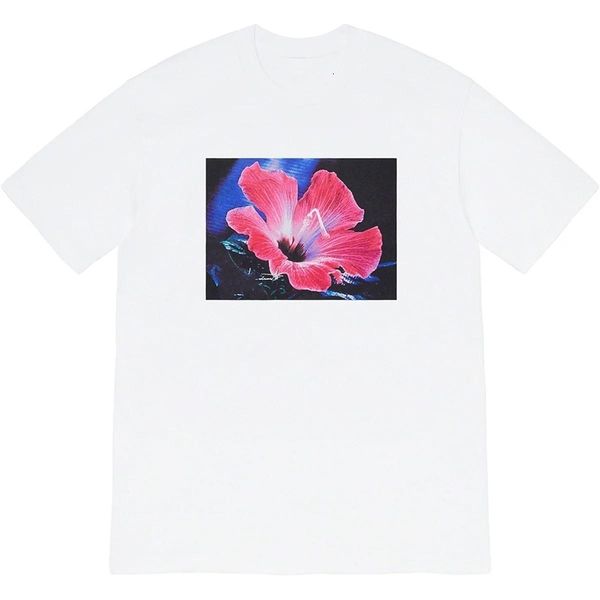summer new trendy brand t-shirt short-sleeved fashion all-match men and women with the same style11u, White;black
summer new trendy brand t-shirt short-sleeved fashion all-match men and women with the same style11u, White;black