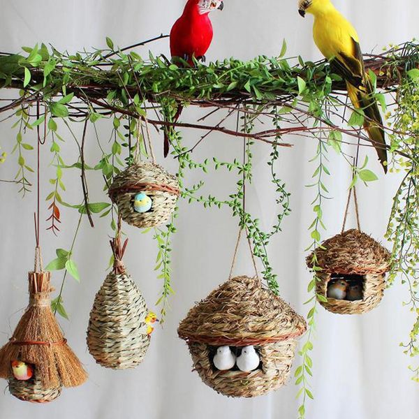 bird cages 4styles birds nest cage natural grass egg house outdoor decorative weaved hanging parrot houses pet bedroom
bird cages 4styles birds nest cage natural grass egg house outdoor decorative weaved hanging parrot houses pet bedroom