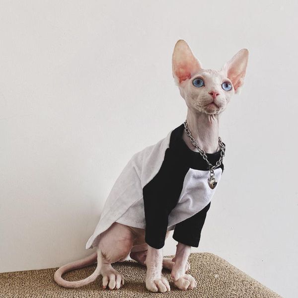cat clothes sphinx shirt casual 100% cotton baseball t-shirt trendy base autumn summer costumes
cat clothes sphinx shirt casual 100% cotton baseball t-shirt trendy base autumn summer costumes