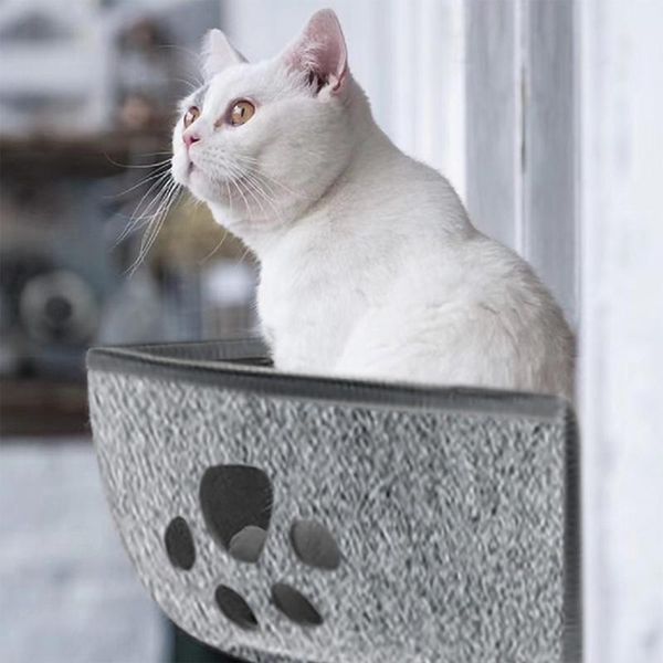 pet cat hammock window bed sunny lounger suction hammocks cats perch seats for house beds & furniture
pet cat hammock window bed sunny lounger suction hammocks cats perch seats for house beds & furniture