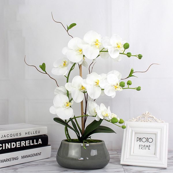 artificial phalaenopsis false potted flower plant bonsai silk flower living room family wedding decoration flower potted orchid
artificial phalaenopsis false potted flower plant bonsai silk flower living room family wedding decoration flower potted orchid