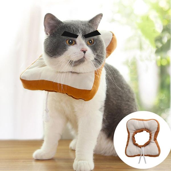 cat collars & leads adjustable e-collar, cute neck con-e after , wound protective personalized collar kitten
cat collars & leads adjustable e-collar, cute neck con-e after , wound protective personalized collar kitten