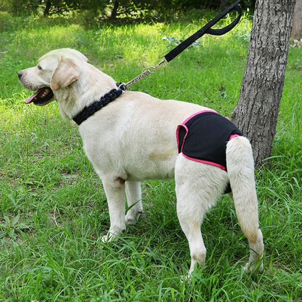 dog apparel cotton washable pants puppy underwear female physiological shorts pet briefs sanitary diaper
dog apparel cotton washable pants puppy underwear female physiological shorts pet briefs sanitary diaper