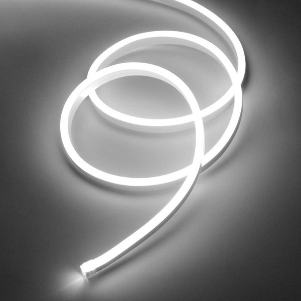 strips luces led neon light strip 220v to 12v dc flexible power plug smd 2835 garden outdoor waterproof ip67 lights
strips luces led neon light strip 220v to 12v dc flexible power plug smd 2835 garden outdoor waterproof ip67 lights