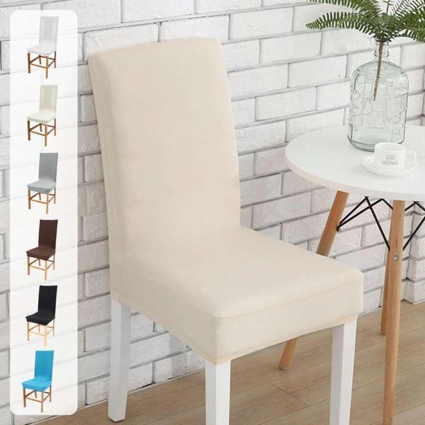 solid color chair cover spandex stretch elastic slipcovers dustproof covers for el dining room party banquet
solid color chair cover spandex stretch elastic slipcovers dustproof covers for el dining room party banquet