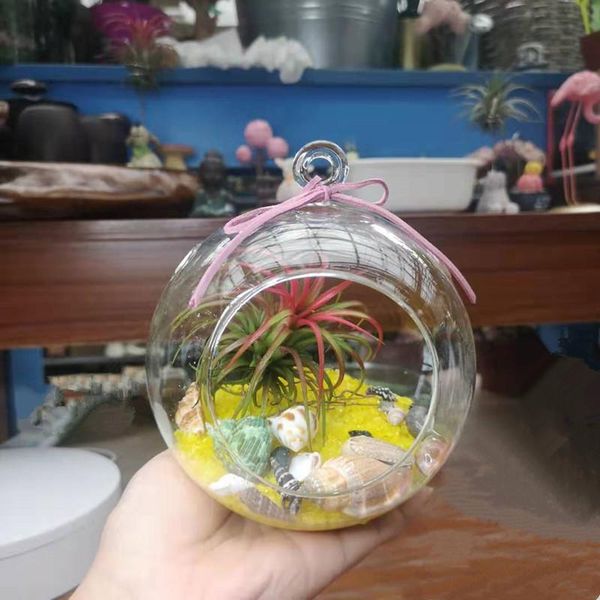 27pcs/pack diameter=15cm glass terrarium with one open 2 small hole wedding decoration hanging globe candle holder novelty items
27pcs/pack diameter=15cm glass terrarium with one open 2 small hole wedding decoration hanging globe candle holder novelty items