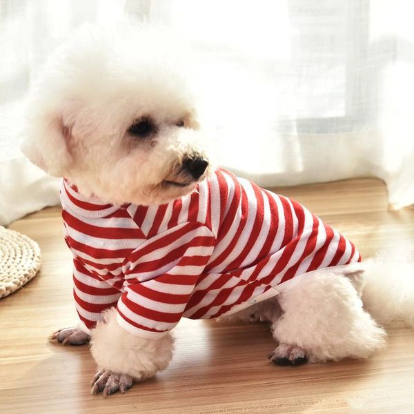 dog apparel warm pet clothing for clothes small coat jacket puppy outfit dogs costume chihuahua
dog apparel warm pet clothing for clothes small coat jacket puppy outfit dogs costume chihuahua