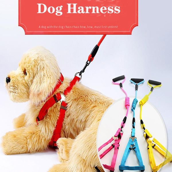 dog collars & leashes adjustable pet dogs harness leash vest collar classic running strap belt for small medium puppy terier schnauzer
dog collars & leashes adjustable pet dogs harness leash vest collar classic running strap belt for small medium puppy terier schnauzer