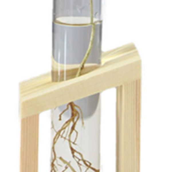 vases flower stand glass wood holder plant creative pot planting vase beautiful economic
vases flower stand glass wood holder plant creative pot planting vase beautiful economic