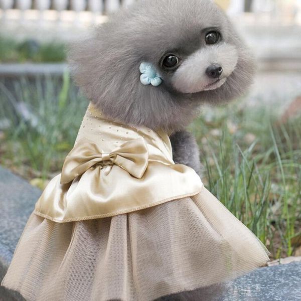 fashion sold pet dog puppy wedding lace dress cute bow gauze tutu skirt cat sequin princess clothes apparel supply
fashion sold pet dog puppy wedding lace dress cute bow gauze tutu skirt cat sequin princess clothes apparel supply