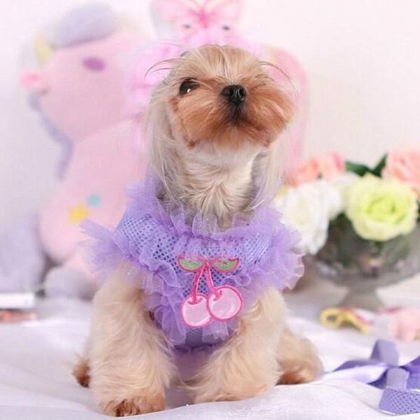 dog collars & leashes portable pet 2 colors harness bite-resistant wear-resistant vest
dog collars & leashes portable pet 2 colors harness bite-resistant wear-resistant vest