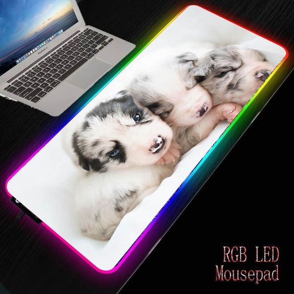 mouse pads & wrist rests mrg cute dog husky animal pad rgb large gamer xxl carpet big mause pc desk play mat with backlit
mouse pads & wrist rests mrg cute dog husky animal pad rgb large gamer xxl carpet big mause pc desk play mat with backlit