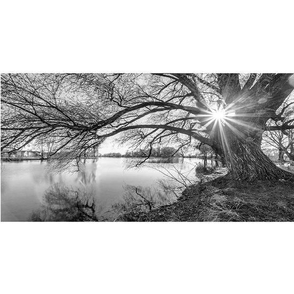 diamond painting needlework 5d diy black and white lakeside tree scenery embroidery full round square rhinestoneszp-3741
diamond painting needlework 5d diy black and white lakeside tree scenery embroidery full round square rhinestoneszp-3741