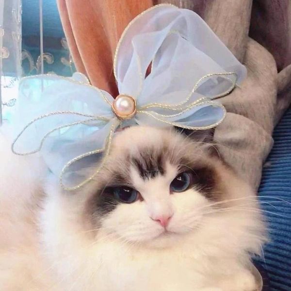 cat costumes smiling cheese fairy satin ribbon bowtie pet decoration collar for puppy ragdoll celebration po shooting gorgeous
cat costumes smiling cheese fairy satin ribbon bowtie pet decoration collar for puppy ragdoll celebration po shooting gorgeous