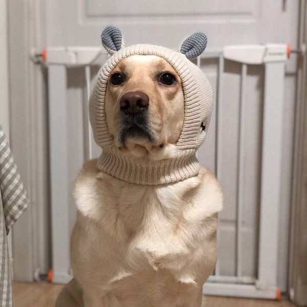 funny winter pet hats dog costume ennly neck ear warmer snood knitted big headgear headwear apparel
funny winter pet hats dog costume ennly neck ear warmer snood knitted big headgear headwear apparel