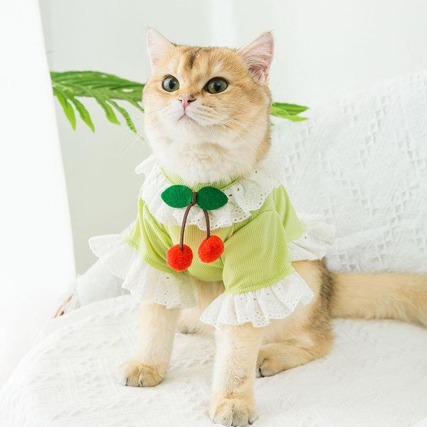 spring summer cat cherry lace ice silk cool thin section dress matcha green lovely princess doll british shorthair costumes
spring summer cat cherry lace ice silk cool thin section dress matcha green lovely princess doll british shorthair costumes