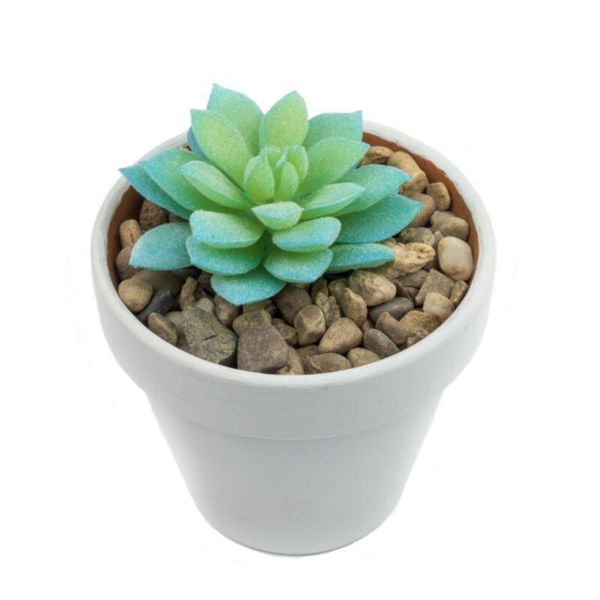 decorative flowers & wreaths outdoor succulent plants garden realistic lifelike arrangement wedding
decorative flowers & wreaths outdoor succulent plants garden realistic lifelike arrangement wedding