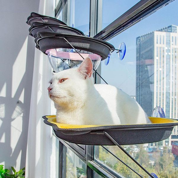 cat beds & furniture 1pc litter suction cup hanging for cats four seasons universal window space hammock pet supplies
cat beds & furniture 1pc litter suction cup hanging for cats four seasons universal window space hammock pet supplies