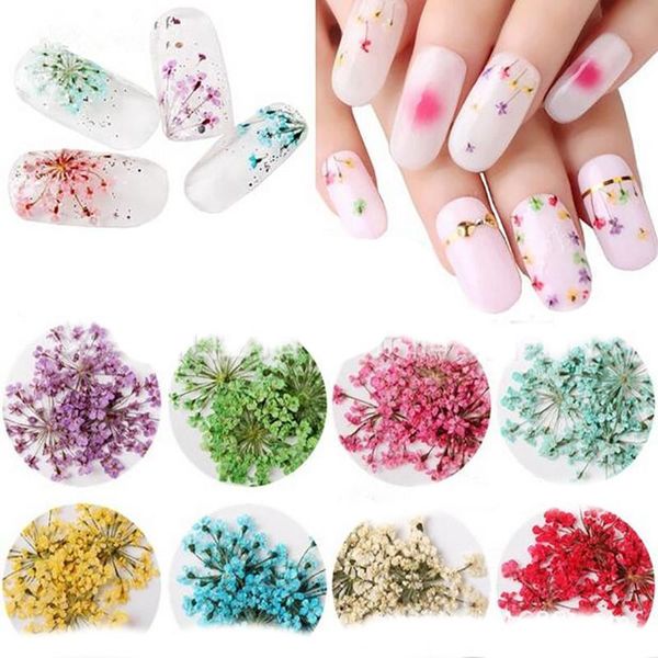 nail art kits flowers dazzling floral transfer paper tips sticker sequins colorful wraps set diy natural decorations
nail art kits flowers dazzling floral transfer paper tips sticker sequins colorful wraps set diy natural decorations