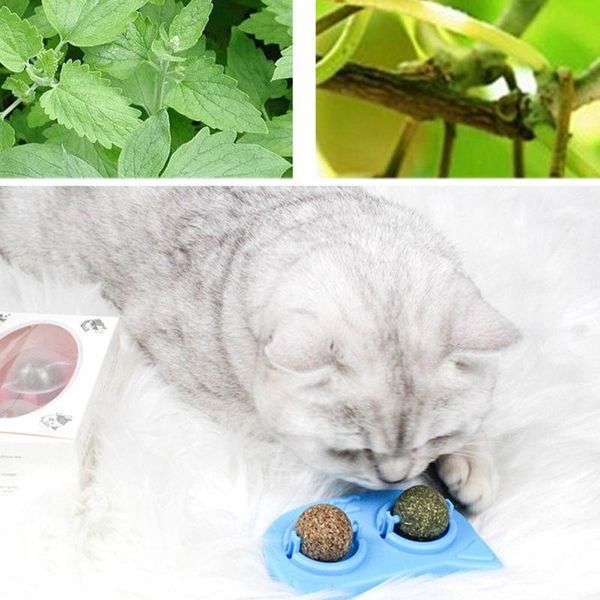 2pcs pet catnip toy edible ealthy cat mint cats ball hrotate chasing game clean teeth protect the stomach product toys
2pcs pet catnip toy edible ealthy cat mint cats ball hrotate chasing game clean teeth protect the stomach product toys