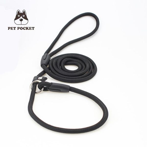 dog collars & leashes 2021 pet leash nylon rope explosion-proof small and medium traction chain
dog collars & leashes 2021 pet leash nylon rope explosion-proof small and medium traction chain