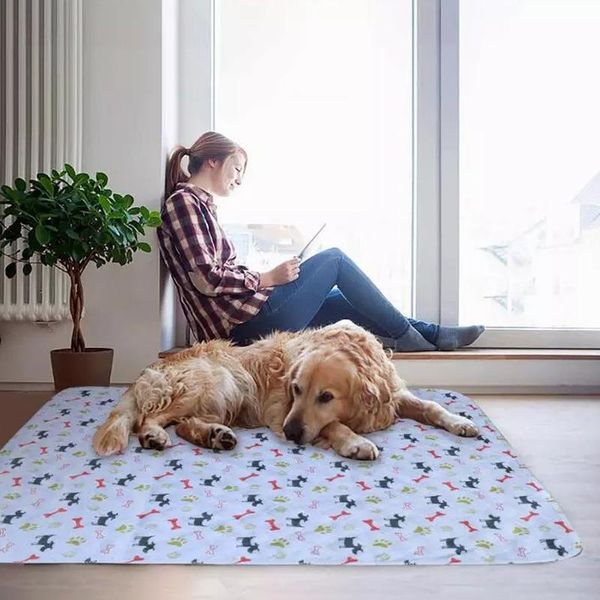kennels & pens d2 reusable dog cat pet pee pad bed mat accessories supplies puppy fast absorbing rug car home training
kennels & pens d2 reusable dog cat pet pee pad bed mat accessories supplies puppy fast absorbing rug car home training