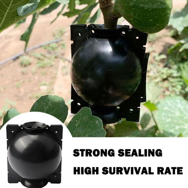 planters & pots 4pcs plant root device breeding ball high pressure growing spreading box for garden plugs propagation boxes
planters & pots 4pcs plant root device breeding ball high pressure growing spreading box for garden plugs propagation boxes