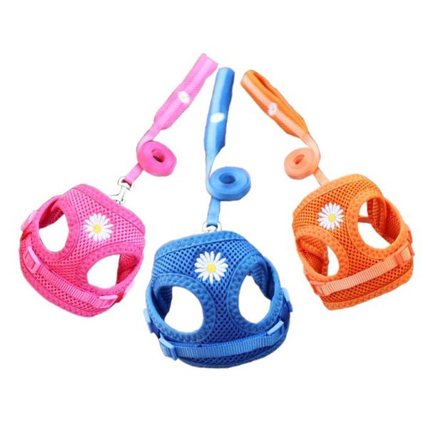 cat collars & leads daisy mesh harness and leash set breathable adjustable pet vest for small dogs walking harnesses rope
cat collars & leads daisy mesh harness and leash set breathable adjustable pet vest for small dogs walking harnesses rope