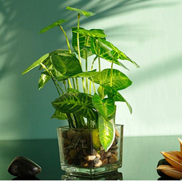 artificial plants with simulation bonsai glass pot 4-leaf clover window decoration household table bdf99 decorative flowers & wreaths
artificial plants with simulation bonsai glass pot 4-leaf clover window decoration household table bdf99 decorative flowers & wreaths