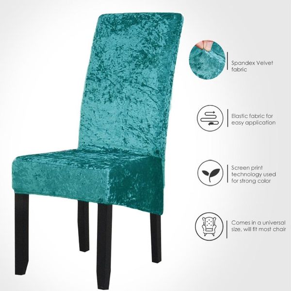 chair cover velvet extra king back shiny soft for dining room banquet spandex elastic chaises salle manger covers
chair cover velvet extra king back shiny soft for dining room banquet spandex elastic chaises salle manger covers