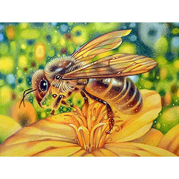 diamond painting full square round 5d diy bee animal embroidery flower rhinestone picture cross stitch mosaic gift e32
diamond painting full square round 5d diy bee animal embroidery flower rhinestone picture cross stitch mosaic gift e32