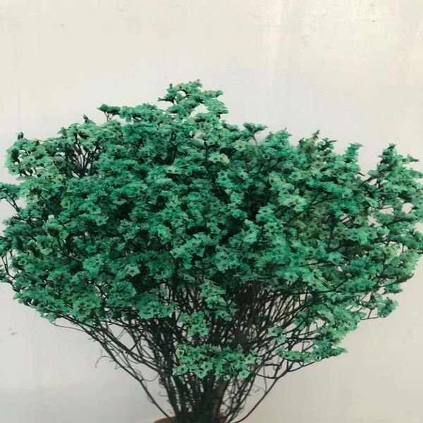 decorative flowers & wreaths dried bouquet, flower creative gift, eternal flowers, grass mini, christmas vase
decorative flowers & wreaths dried bouquet, flower creative gift, eternal flowers, grass mini, christmas vase