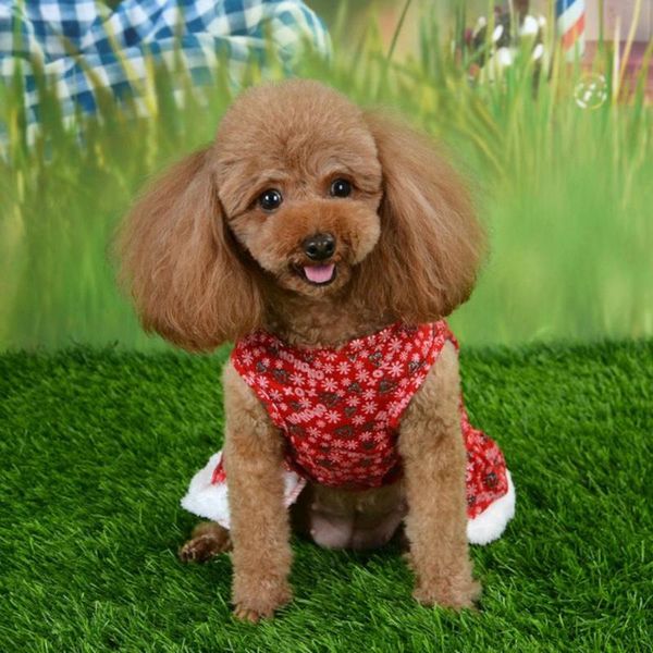 dog apparel winter christmas clothes xmas cute red skirt for small dogs puppy jacket clothing outfit
dog apparel winter christmas clothes xmas cute red skirt for small dogs puppy jacket clothing outfit