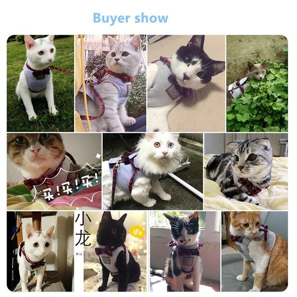 cat collars & leads cute harness leash breathable vest collar set pet traction elegant british style jacket supply
cat collars & leads cute harness leash breathable vest collar set pet traction elegant british style jacket supply