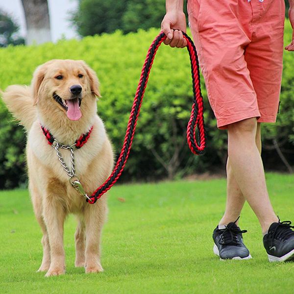 dog collars & leashes large harness leash set woven nylon braided chain buckle collar strong pets dogs traction rope leads training
dog collars & leashes large harness leash set woven nylon braided chain buckle collar strong pets dogs traction rope leads training