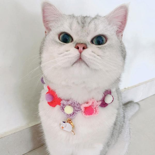 cat collars & leads cute dog hand made wool with flower decoration pendant adjustable puppy kitten necklace cats
cat collars & leads cute dog hand made wool with flower decoration pendant adjustable puppy kitten necklace cats