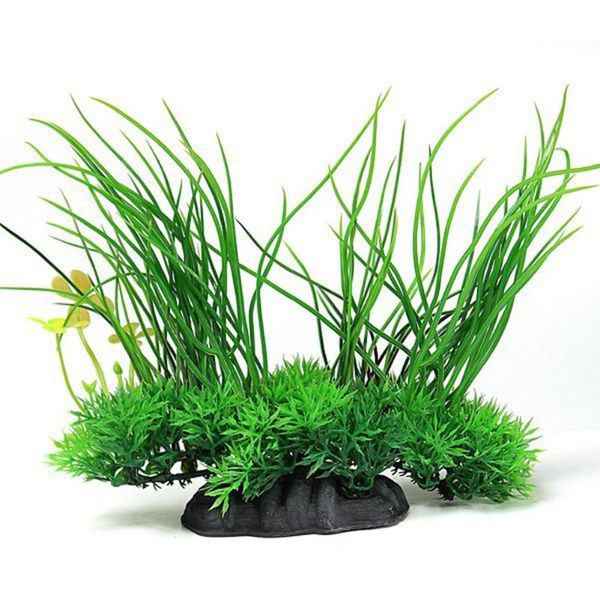 decorations simulate plastic artificial green water grass aquarium underwater plant for fish tank decoration ornament accessories
decorations simulate plastic artificial green water grass aquarium underwater plant for fish tank decoration ornament accessories