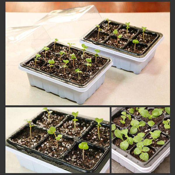 planters & pots 6 /12 holes plastic breathable planting tray sprout plate germination box nursery grow base lids+clear cover
planters & pots 6 /12 holes plastic breathable planting tray sprout plate germination box nursery grow base lids+clear cover