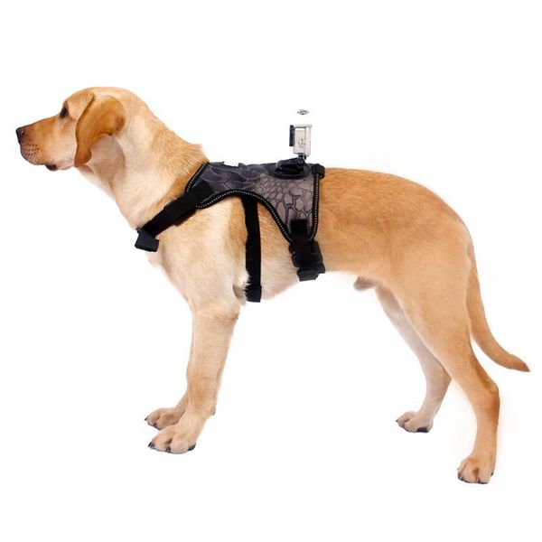 dog collars & leashes sports camera breast strap fixed chest band fetch harness outdoor adjustable
dog collars & leashes sports camera breast strap fixed chest band fetch harness outdoor adjustable