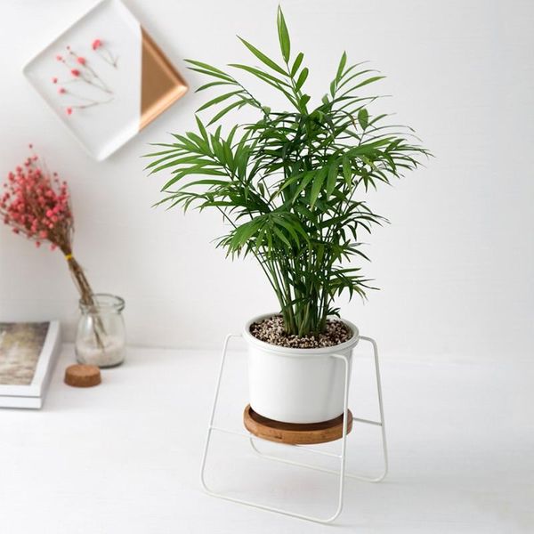 3pcs set minimalist ceramic succulents flower pots bamboo stand iron shelf planters &
3pcs set minimalist ceramic succulents flower pots bamboo stand iron shelf planters &